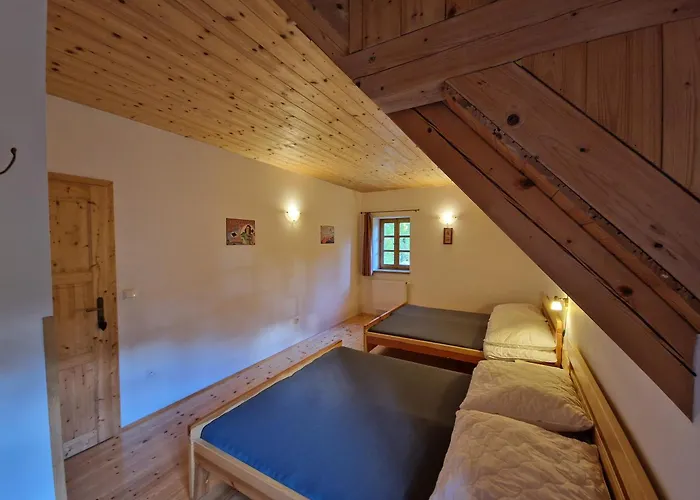 Pod Strani - 別荘 *